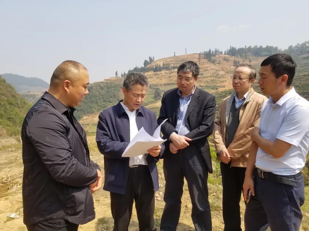 首页 - 菲律宾亚星国际官方网站